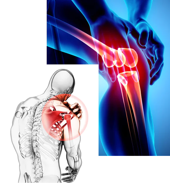 REGENERATIVE MEDICINE
